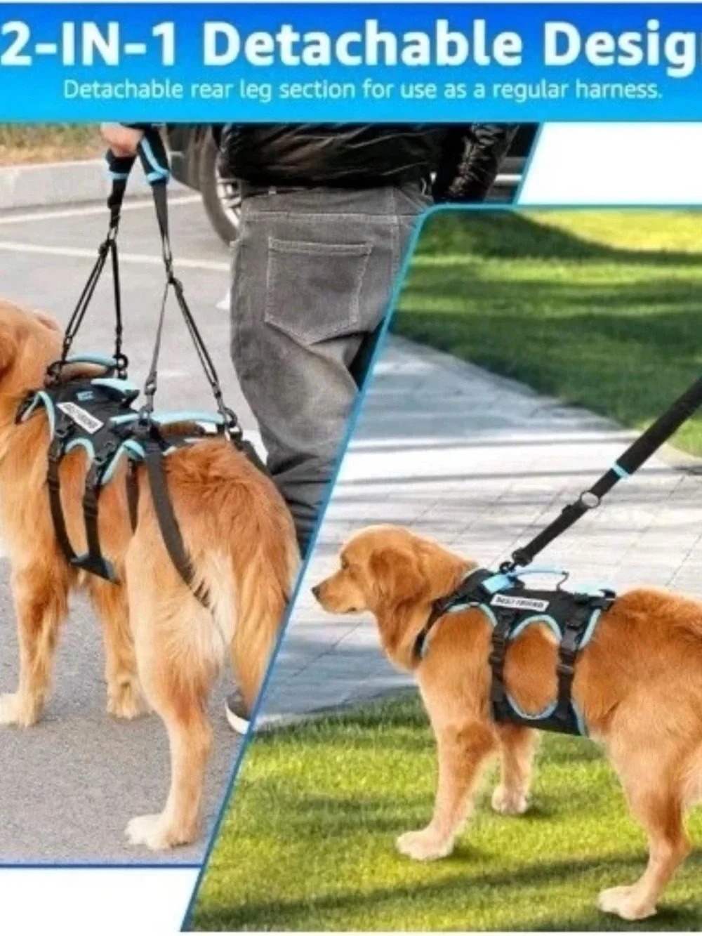 Blue Dog Lift Harness - Supportive Mobility Assist
